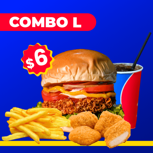 COMBO L1